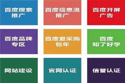 案例展示：SEM推广助力品牌知名度提升